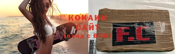 дживик Майский