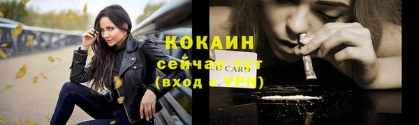 дживик Майский