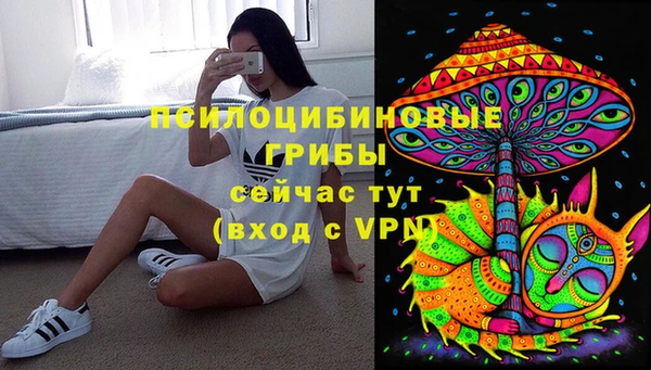 дживик Майский
