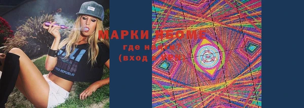 дживик Майский